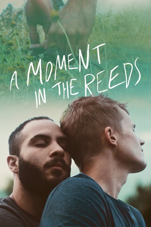 دانلود فیلم A Moment in the Reeds – لحظه ای در نیزار