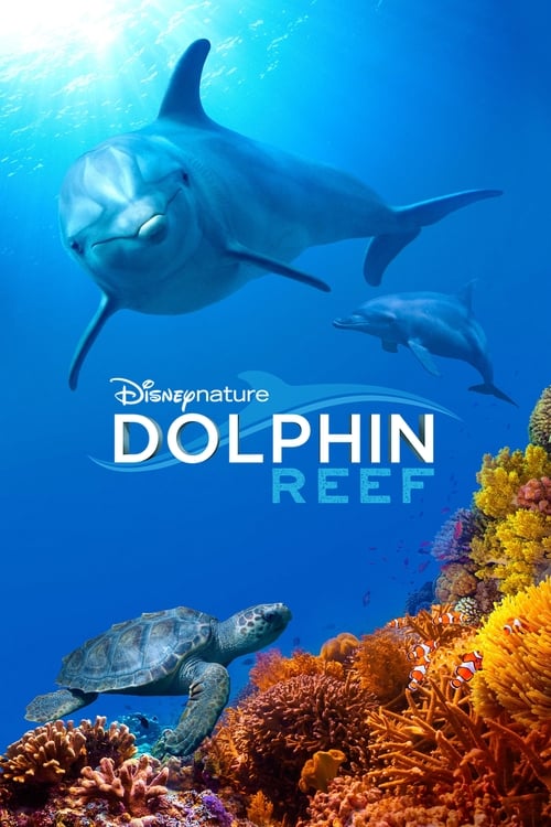 دانلود فیلم Dolphin Reef – صخره دلفین